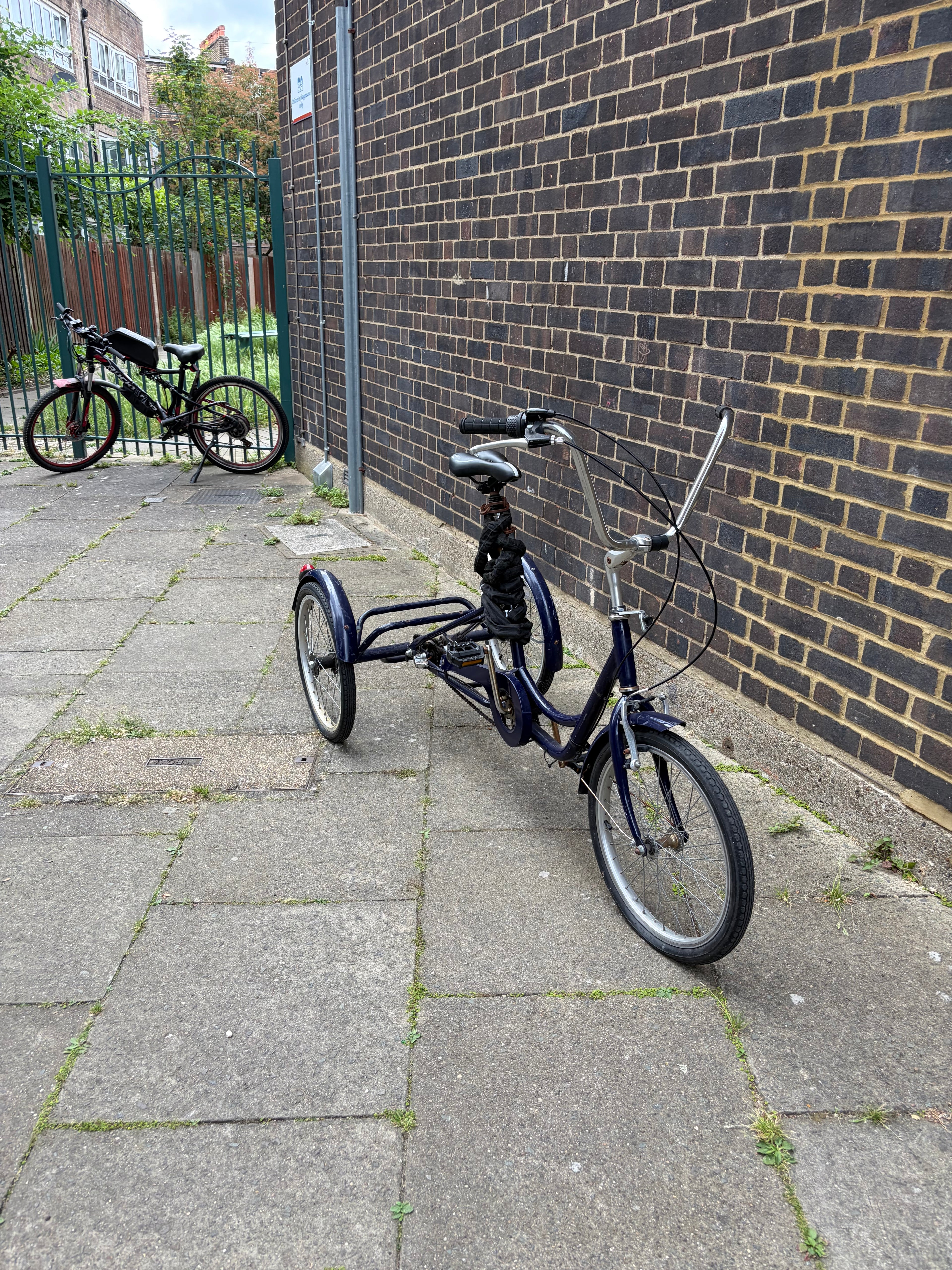 Classic Step-Through Adult Comfort Tricycle – Midnight Blue (Shimano Nexus 3-Speed)