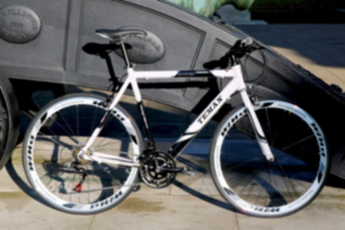 Teman Pro 3.0, Road/Hybrid bike